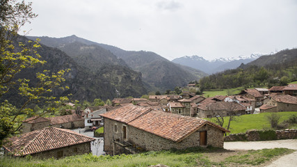 Fototapeta na wymiar Mogrovejo en Cantabria