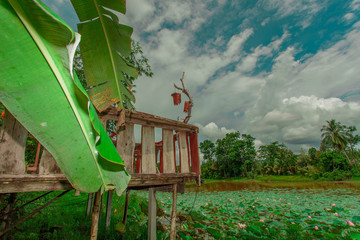 The local restaurant on the lagoon