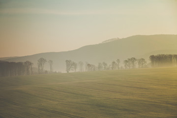 Hazy landscape fog over green field Slovakia