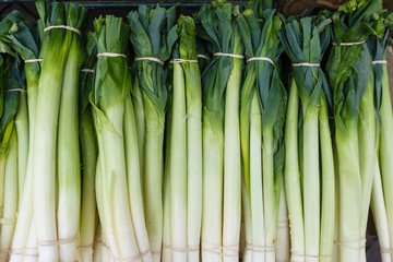 Leeks in a line