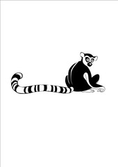 lemur image  © Алина Велимзон