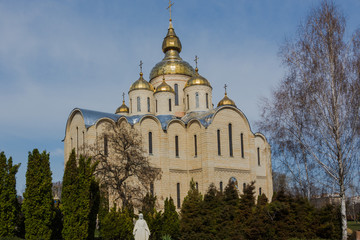 Church and trees on the blue sky background.