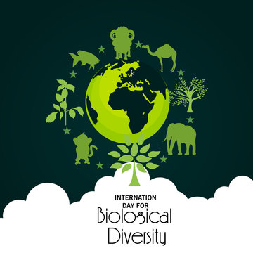 International Day for Culture Diversity.