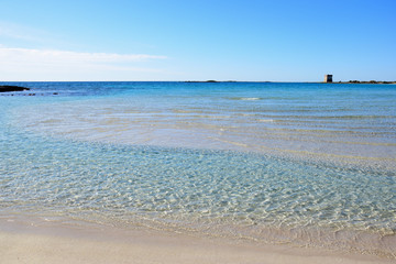 Beach in Salento