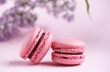 Selective focus. Two pink macaroons on pink background
