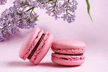 Two pink macaroons and a branch of lilac