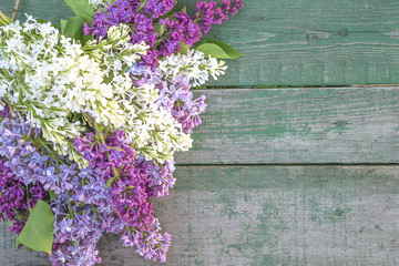 Bunch of multicolored lilac on old paing wooden background with copy space