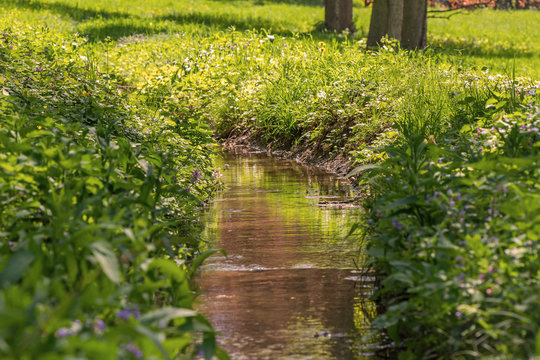 A Small Creek Flows In Green Grass