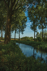 Fototapeta na wymiar Creek in the woods next to cultivated fields at the late afternoon light in the village of Damme. A quiet and charming countryside old village near Bruges. Northwestern Belgium.