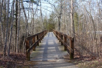 Fototapeta na wymiar The wood bridge on the nature trail in the forest.