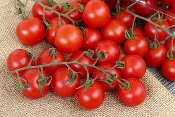 healthy vine tomatoes on the black back ground.
