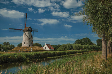 Fototapeta premium Old windmill next to canal with bushes and grove in the background in the late afternoon light and blue sky, near Damme. A quiet and charming countryside old village near Bruges. Northwestern Belgium.
