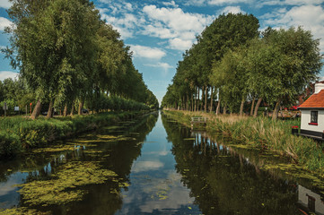 Fototapeta na wymiar Bushes and grove along canal with sky reflected on water, in the late afternoon and blue sky, near Damme. A quiet and charming countryside old village near Bruges. Northwestern Belgium.