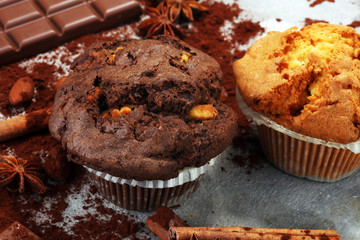 Chocolate muffin and nut muffin, homemade bakery on grey background