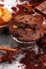 Chocolate muffin and nut muffin, homemade bakery on grey background