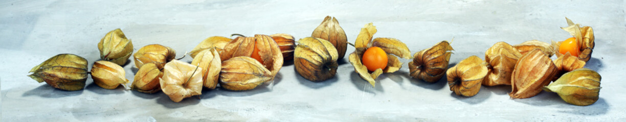 Fresh physalis on grey background. raw sweet small fruit
