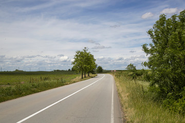 
Empty road through Pannonian Plain