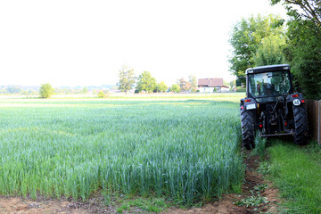 Fototapeta premium Traktor von hinten am Feld