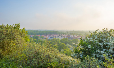Obraz premium Hilly dunes in the light of sunrise in spring