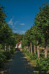 Fototapeta na wymiar Pathway with trees in garden of medieval church ruins, in the late afternoon light at Damme. A quiet and charming countryside old village near Bruges. Northwestern Belgium.