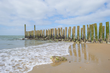 Groyne on a recreational beach in sunlight in spring protecting land from sea