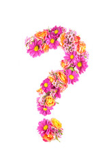 Fototapeta premium letters and numbers made from live flowers isolated on white background, make text with flowers alphabet, exclusive idea for graphic