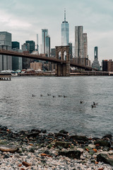 Fototapeta premium Brooklyn Bridge