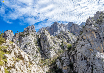 Fototapeta na wymiar Spanien - Kantabrien - Picos de Europa - Garganta del Cares
