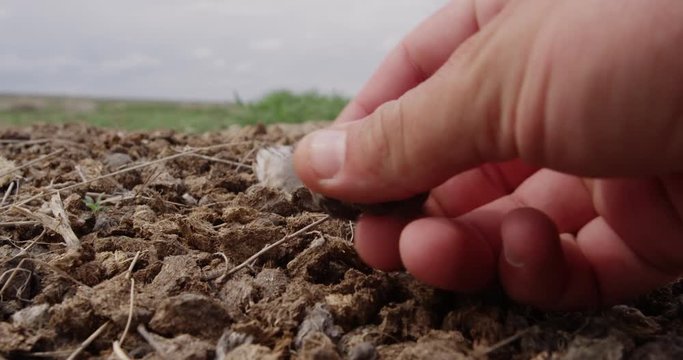 Close on hand holding owl pellet at burrow