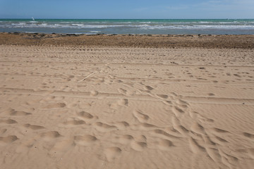 Footprints on the sandy beach with surfer on the horizon, Bibione, Veneto, Italy