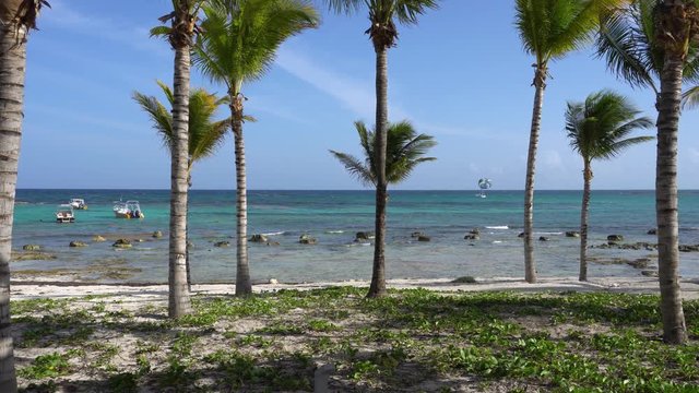 View of tropical beach through coconut palm trees. Tourists ride parasailing boat with parachute. Turquoise water of the Caribbean Sea. Riviera Maya Mexico.