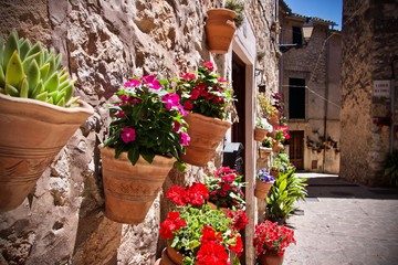 Fototapeta na wymiar Colourful flowers in terracotta pots on a wall in Valldemossa, Mallorca, Spain