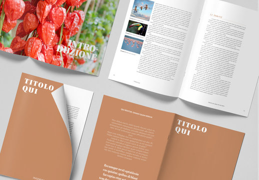 Layout rivista semplice