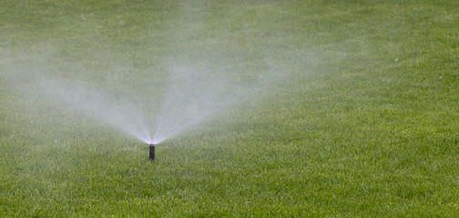automatic sprinkler system watering the lawn on a background of green grass