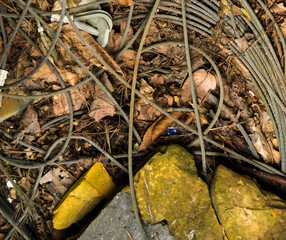 Derelict Wire