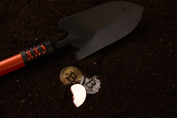 Bitcoin mining from the soil. Bitcoin gold coins, silver and bronze and shovel gardening tool. Virtual cryptocurrency mining concept. 