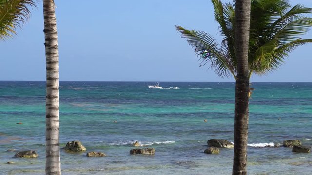 View of tropical beach through coconut palm trees. Tourists ride parasailing boat with parachute. Turquoise water of the Caribbean Sea. Riviera Maya Mexico.