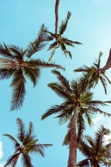 Fototapeta na wymiar Palm Bay
