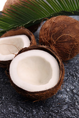 Ripe half cut coconut on a wooden background