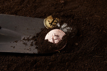 Bitcoin gold coins, silver and bronze and shovel gardening tool. Bitcoin mining from the soil. Virtual cryptocurrency mining concept, close-up