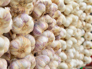 Dry garlic is hanging on the market