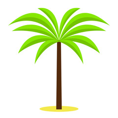Palm tree / tropical plants isolated on white background for site header, footer, web banner, flyer or postcard, modern flat design conceptual style. Vector illustration.