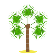 Palm tree / tropical plants isolated on white background for site header, footer, web banner, flyer or postcard, modern flat design conceptual style. Vector illustration. - 205582861