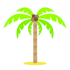 Palm tree / tropical plants isolated on white background for site header, footer, web banner, flyer or postcard, modern flat design conceptual style. Vector illustration. - 205582863