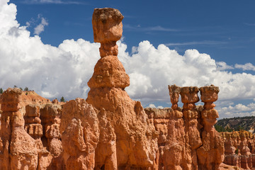 Bryce Canyon 24