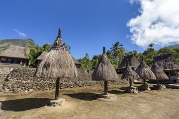 Tradtional Ngadhu poles in the Luba Traditional village with Mount Inerie in the distance on the island of Flores, Indonesia.