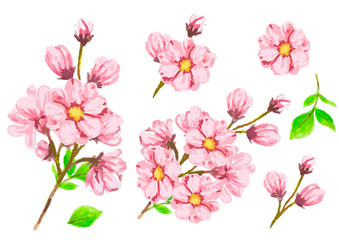 Fototapeta premium beautiful flower frame vector.Greeting card with flowers, watercolor, can be used as invitation card for wedding, birthday and other holiday and summer background.Watercolor imitation 