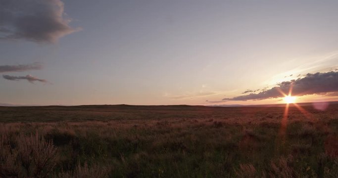 Dolly through sagebrush at sunset on prairie