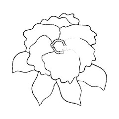 beautiful flower garden icon vector illustration design