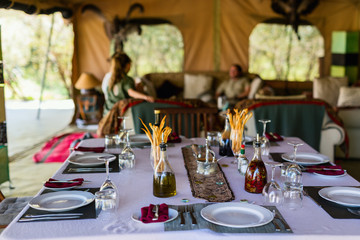 Table setting